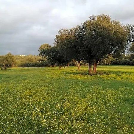 Turistico De Cornalvo Trujillanos