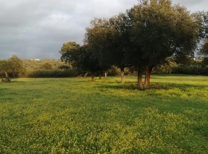 Hostel Turistico De Cornalvo *